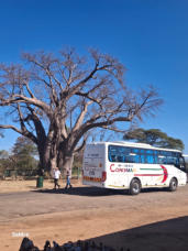 Destinations - Vic Fall with Coachman
