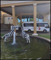 Tours & Safaris