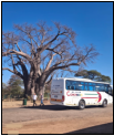 Vic Falls - Zimbabwe